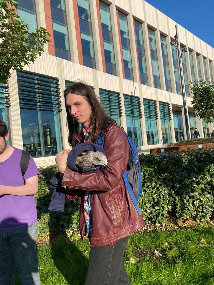 A man in front of an office building