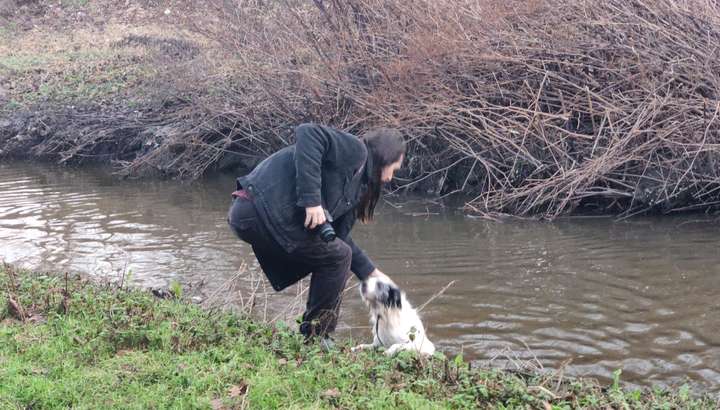 A man pulling a dog from a river